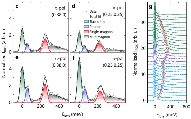 Cross Country Champions