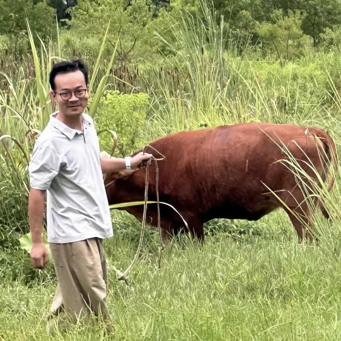 andong.jpg